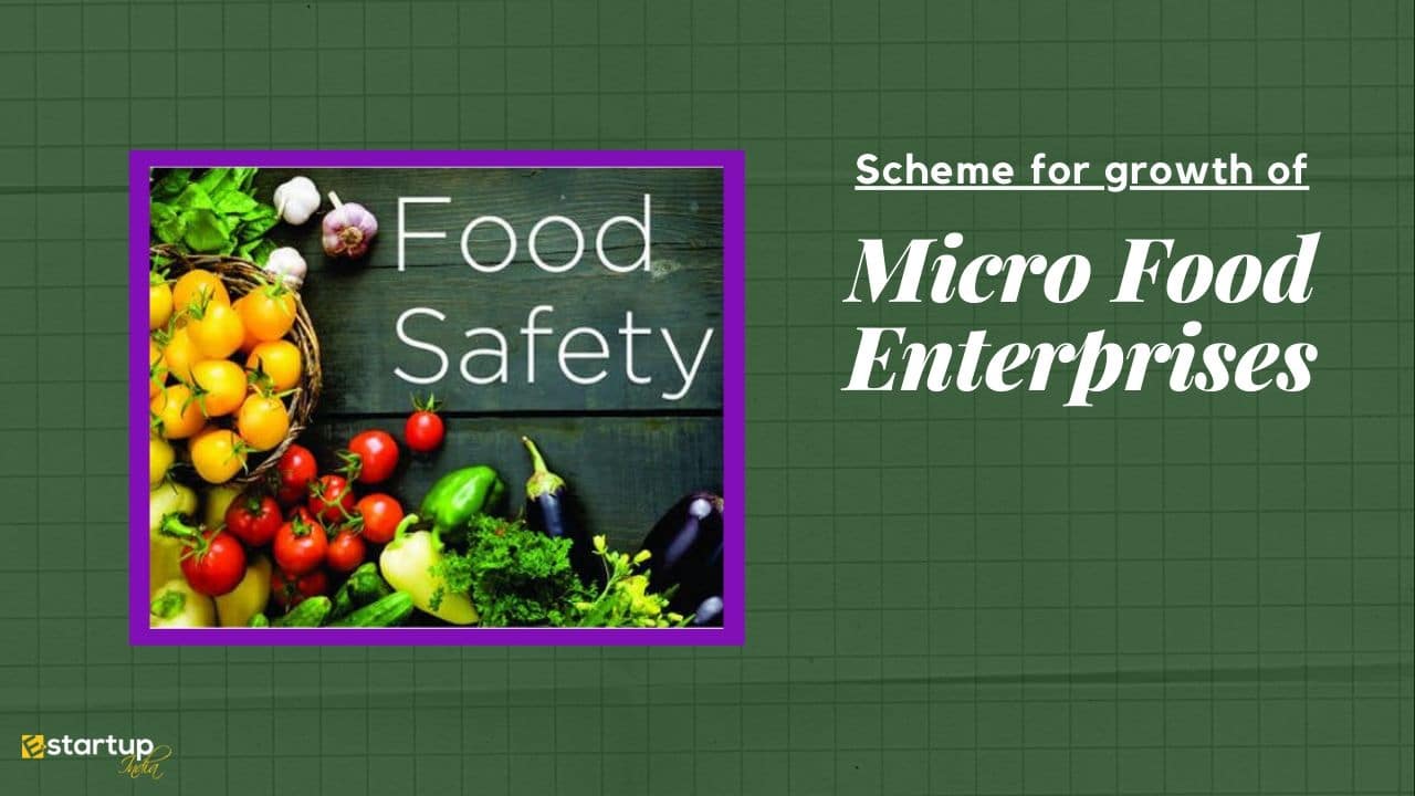 micro food enterprises