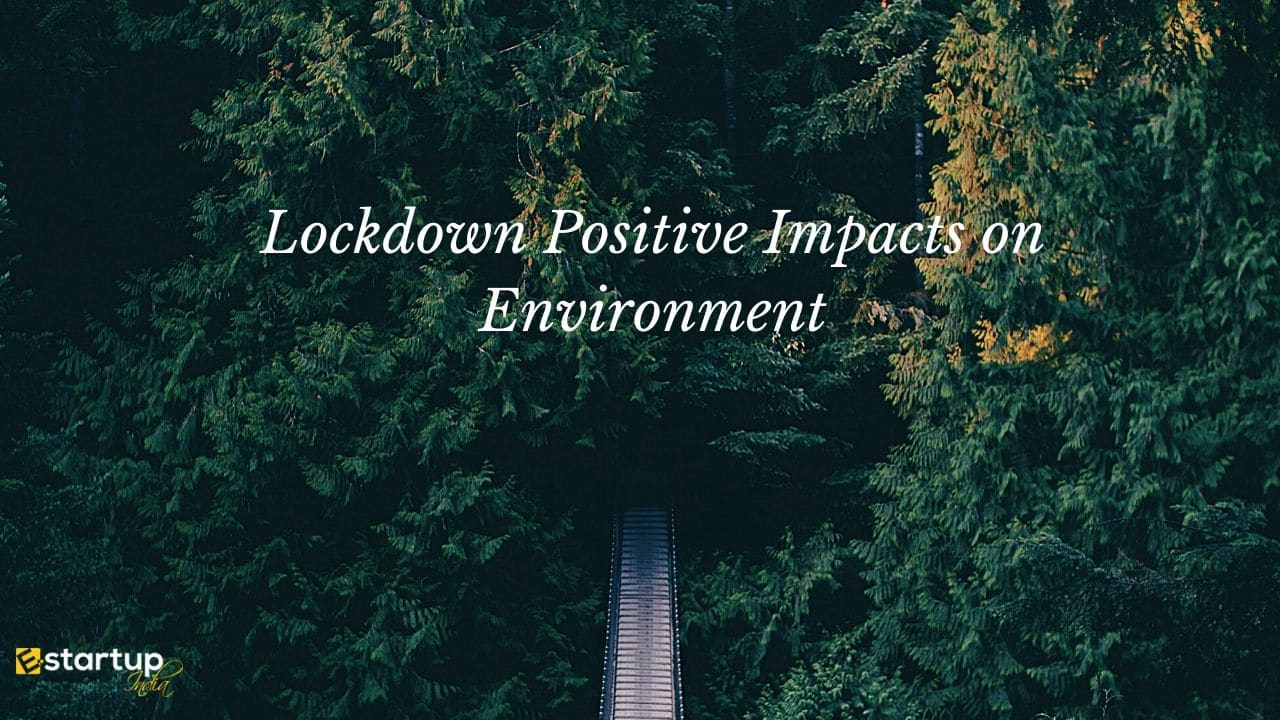 Lockdown Impacts on Environment