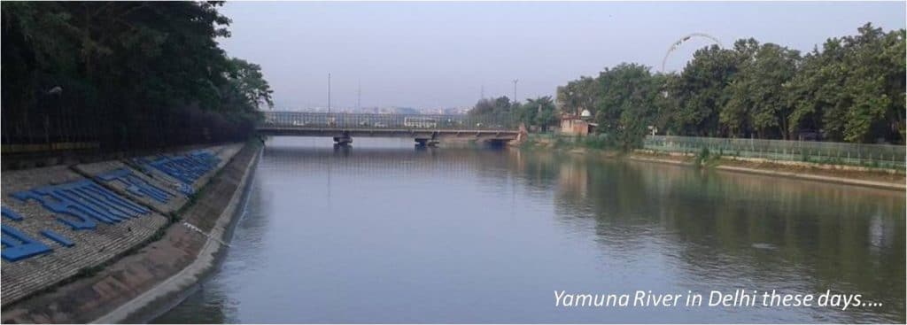 yamuna water environment