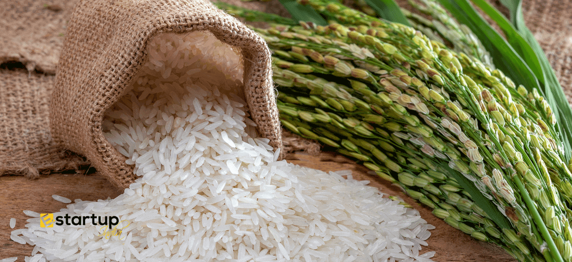 How to Start Rice Export Business in India