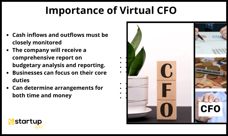 Importance of Virtual CFO