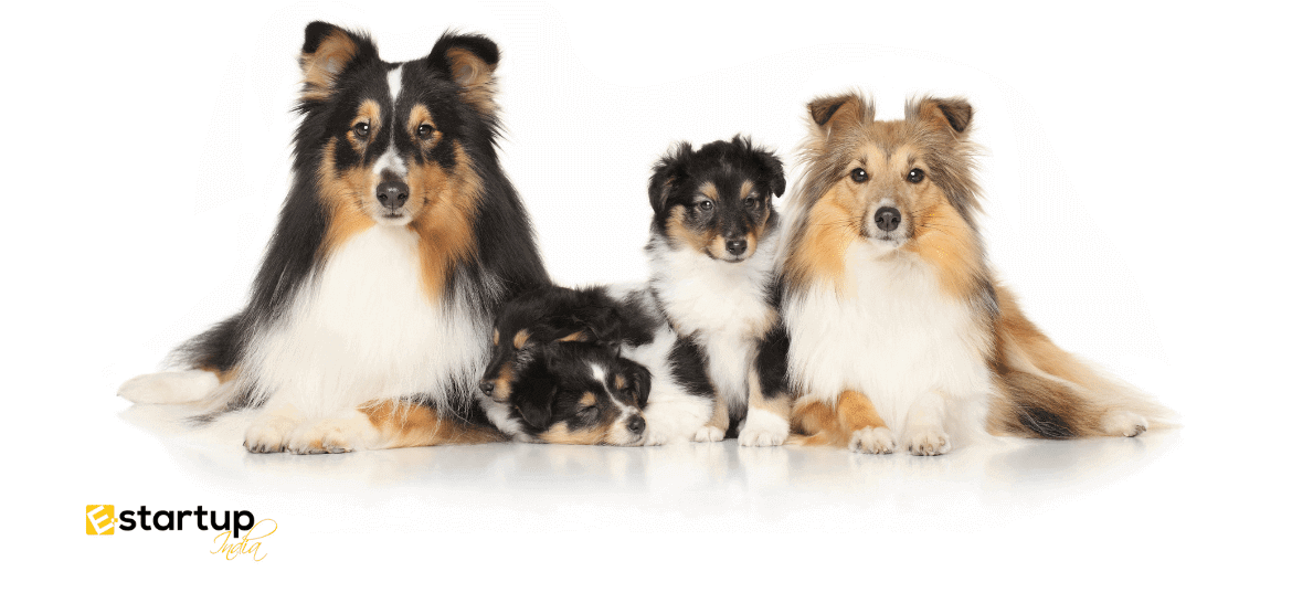 Start Dog Breeding Farm in India Profits & Registrations