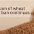 Extension of wheat export ban continues